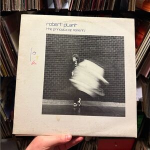 Robert Plant The Principles Of Moments Vinyl Record